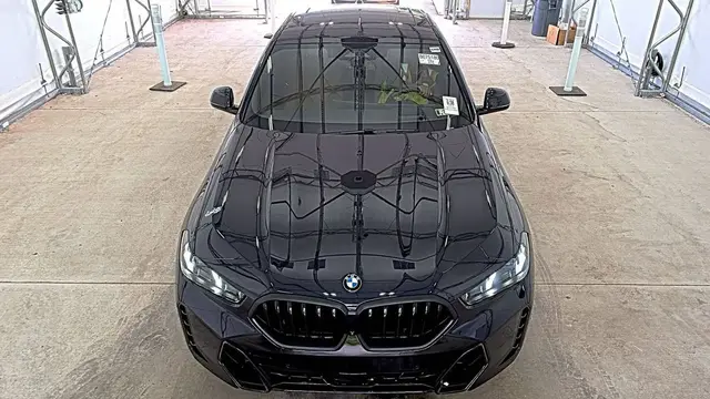 BMW X6 SPORTS ACTIVITY COUPE 2024