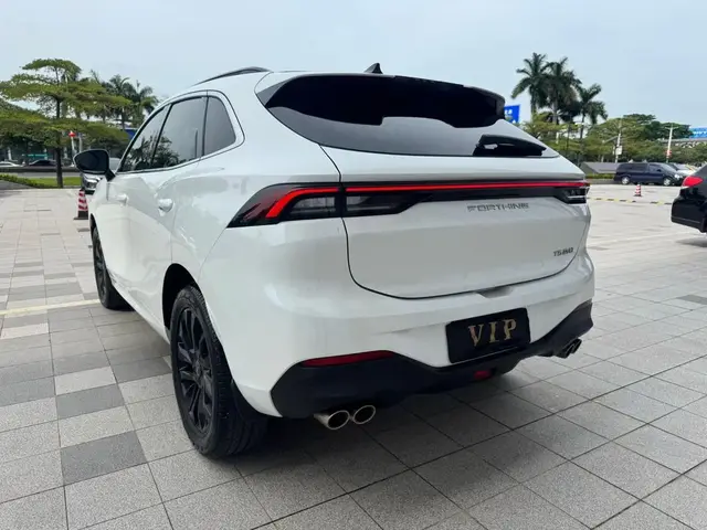 DONGFENG FORTHING EVO DIAMOND FORTHING T5 EVO DIAMOND 2022