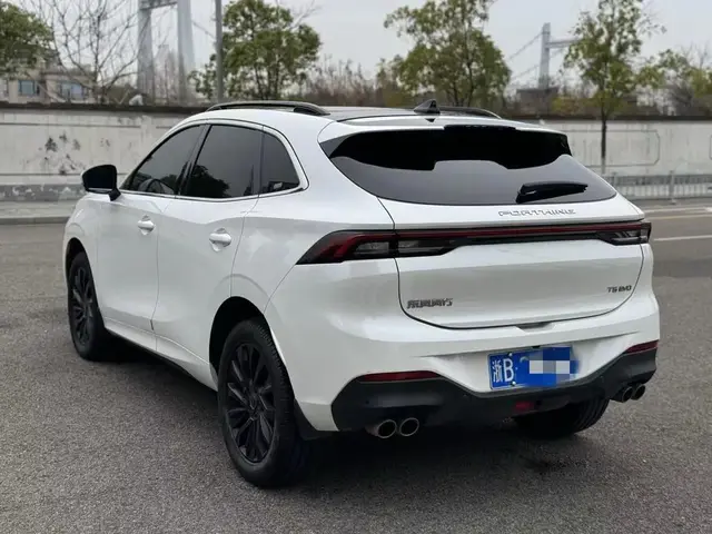 DONGFENG FENGXING EVO FENGXING T5 EVO PLATINUM 2022