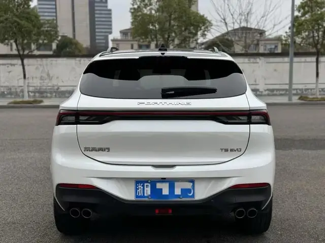 DONGFENG FENGXING EVO FENGXING T5 EVO PLATINUM 2022